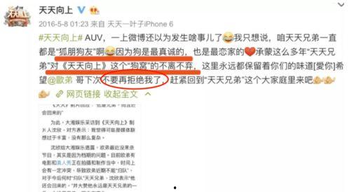 粤语娱乐圈爆料网站大全,一网打尽热门资讯